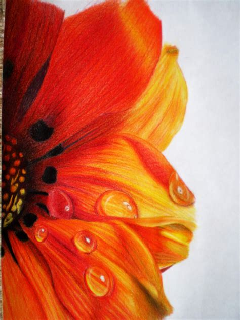 Made From Colored Pencils More Realistic Flower Drawing Simple Flower