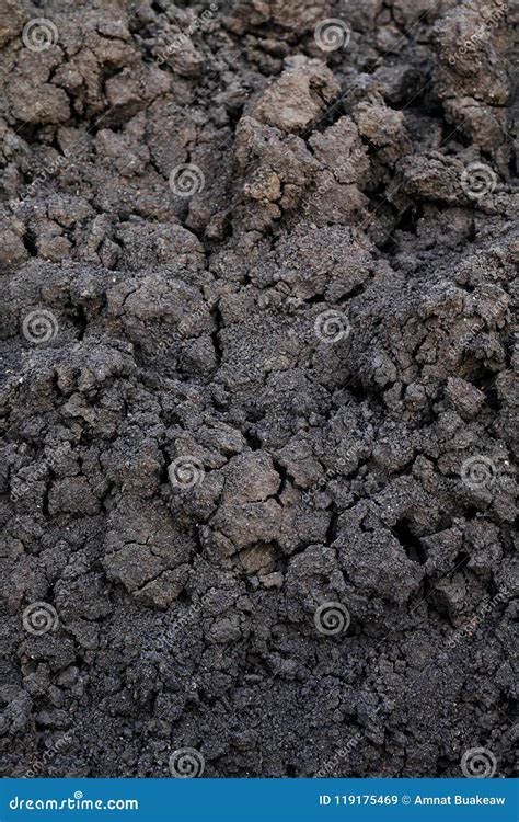 Background Of Soil Humus Black Clay Soil Texture Soil Organic For