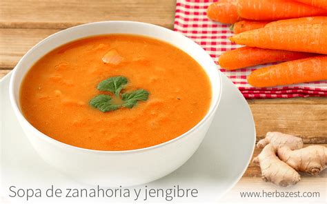 Sopa De Zanahoria Y Jengibre HerbaZest