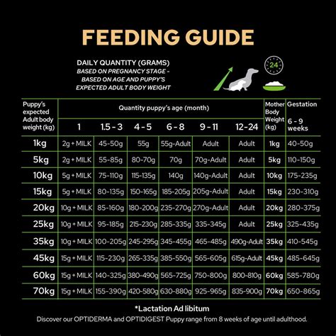 Labrador Feeding Chart By Age Justagric