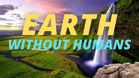 Earth Without Humans मनुष्यों के बाद पृथ्वी Science Documentary In