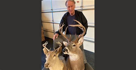 Yesterday And Today Nelson Bucks Illustrate States Deer Management
