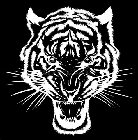 Silhouette Tiger Anger Vector Illustration Of A Tiger Head Stock