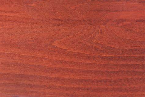 Free Images Texture Floor Clear Red Smooth Background Hardwood