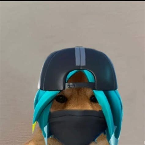 Dog Wif Hat Meme Fortnite Apsgeyser
