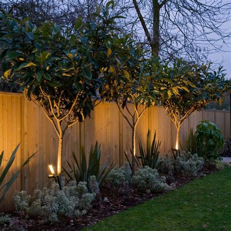Uplit Trees Privacy Fence Landscaping Diy Garden Fence Fence
