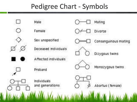 Symbols For Pedigree