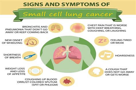 Small Cell Lung Cancer Definition Causes Symptoms Diagnosis
