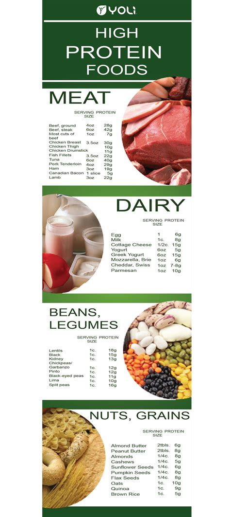 This information is for educational purposes only and is not intended as a substitute for medical diagnosis or treatment. Protein+Snack.png (1605×3600) | High protein recipes ...