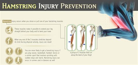 As hamstring strains can be nasty injuries, athletes should work hard to avoid them. Ohhh those pesky hamstrings: why we injure them, healing ...
