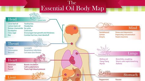 The Health Benefits Of Aromatherapy And Essential Oils