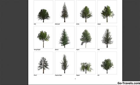 Как вставить деревья в фотошопе