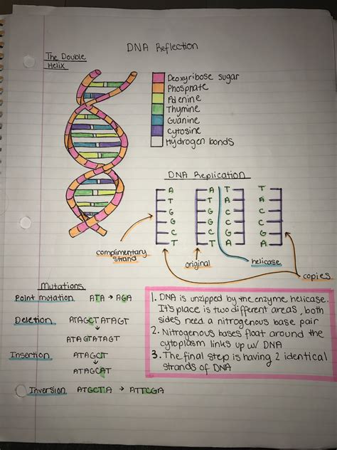 Science Notes On Dna Science Notes Medical Student Study Medical