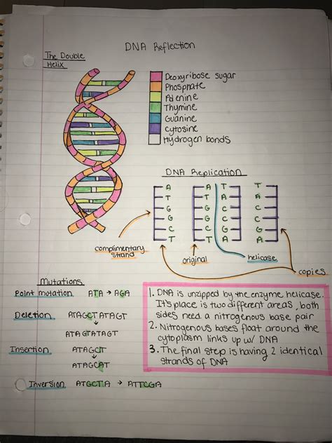 Biology Revision Study Biology Biology Lessons Biology Notes