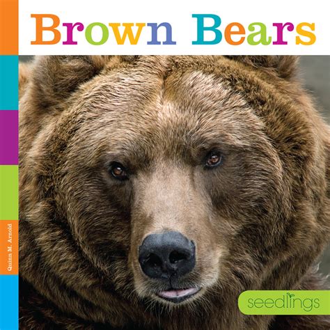 Brown Bears J Appleseed