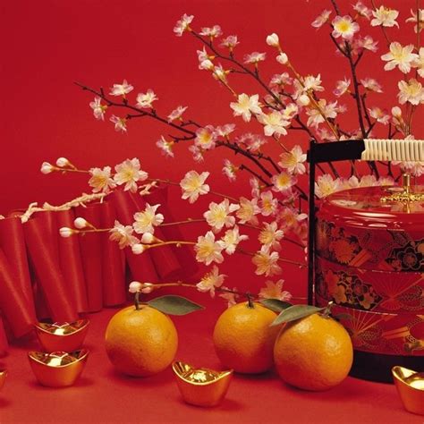You see red everywhere, but you don't lanterns are probably the quintessential chinese new year decorations pieces. Chinese New Year decorations - a traditional home decor