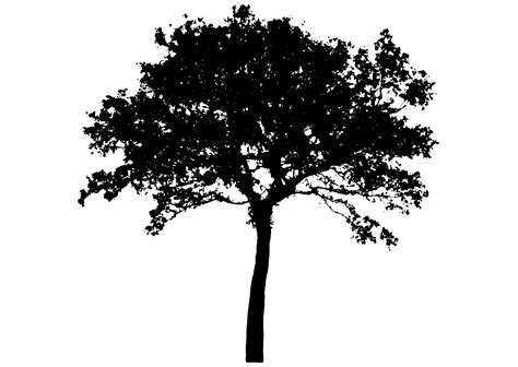 View Vector Png Tree