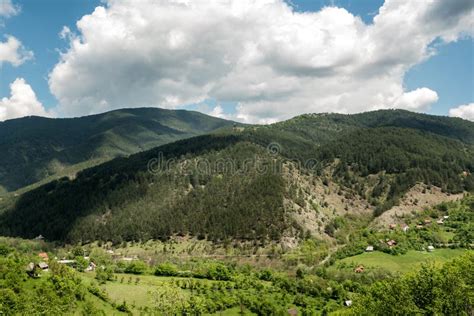 Landscape Of Zlatibor Mountain Stock Photo Image Of Hill Europe