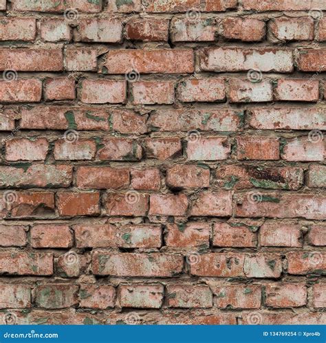 Seamless Texture Of Old Dirty Red Brick Stock Photo Image Of