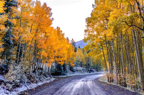 Aspen Colorado United States Sky Mountain Forest Road
