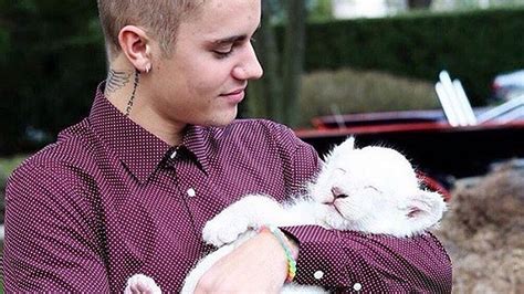 As of 2010, bieber's voice is now deeper than it was when he recorded his albums. Justin Bieber Kissing A Baby Lion Is Too Cute For Words - MTV