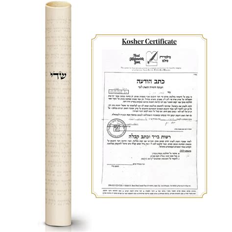 Buy Suri Kosher Mezuzah Scroll 4 10cm Made In Israel Hand Written