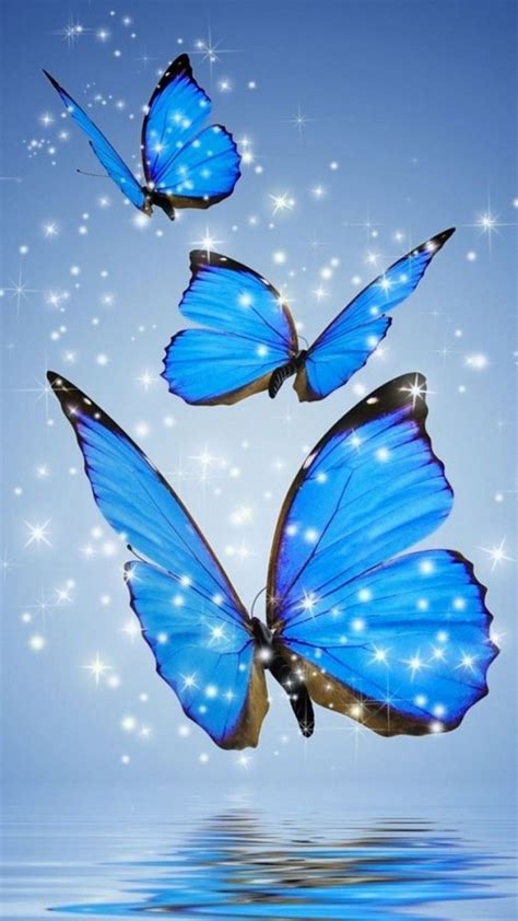 Blue Butterfly Wallpaper For Phone 1080x1920 Butterfly Wallpaper