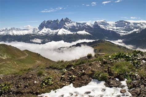 Morning Fog In The Swiss Alps Stock Photo Image Of Meadow Cloud