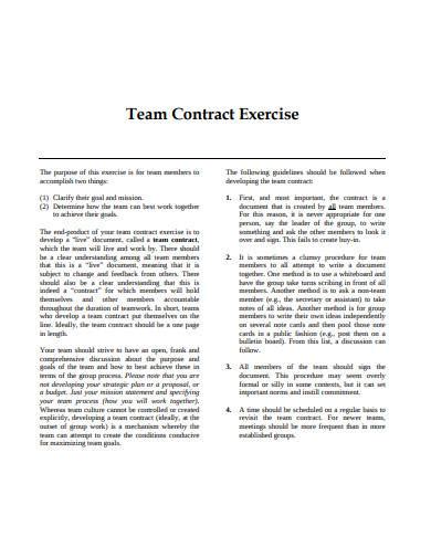 Free 11 Team Contract Samples In Pdf Ms Word
