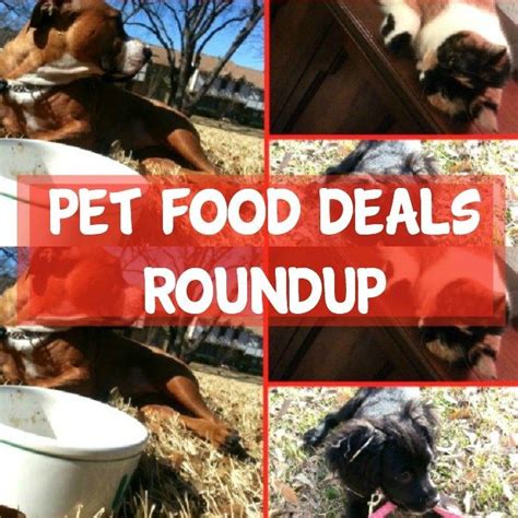 Your dog will be fed with your specific dog food at regular intervals according to your daily routine standards and need. Pin on ~Deals & Steals