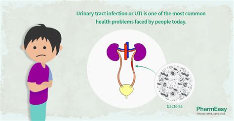 Urinary Tract Infection UTI Causes Symptoms Treatment PharmEasy