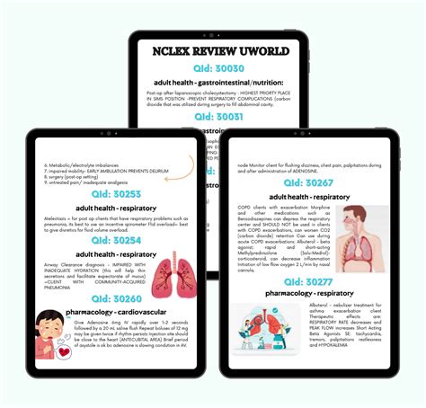 Next Gen NCLEX U World Study Guide 2024-25, Uworld NCLEX, Ultimate