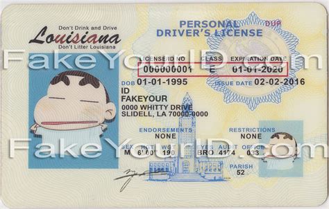 Drivers License Louisiana Costume