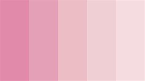 Pastel Pink Color Palette With Hex Colors Imagesee
