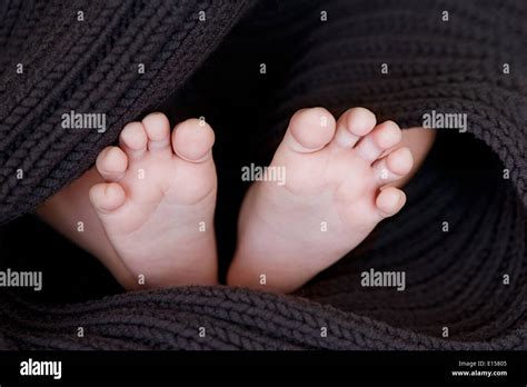 Newborn Baby Feet On Soft Brown Blanket Stock Photo Alamy