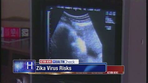 Scientists Get Clearer Picture Of Zika Virus And Pregnant Women 6abc