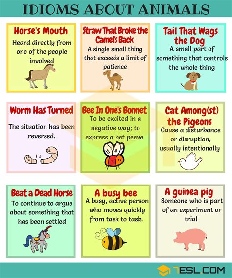 Animal Idioms 165 Useful Animal Idioms From A Z 7esl English