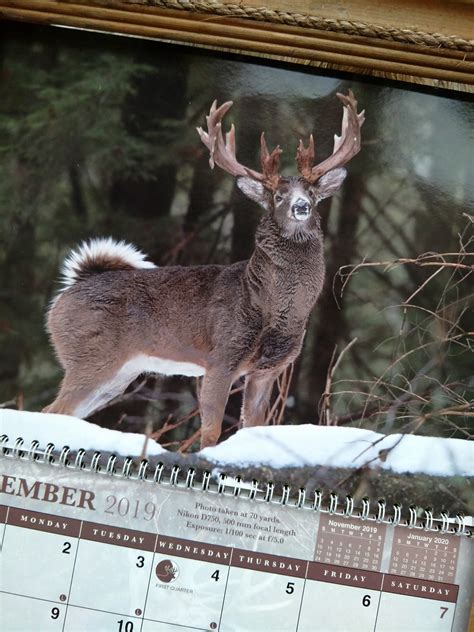 Lunar Calendar Hunting Deer Calendar For Planning