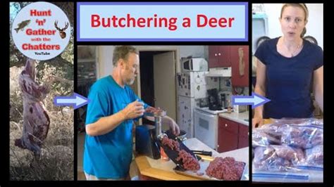 Butchering And Processing A Deer Youtube