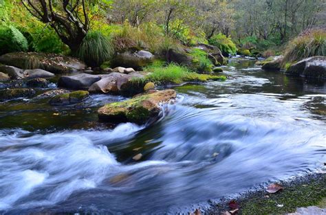 Free Picture Water Stream River Waterfall Nature Creek Landscape