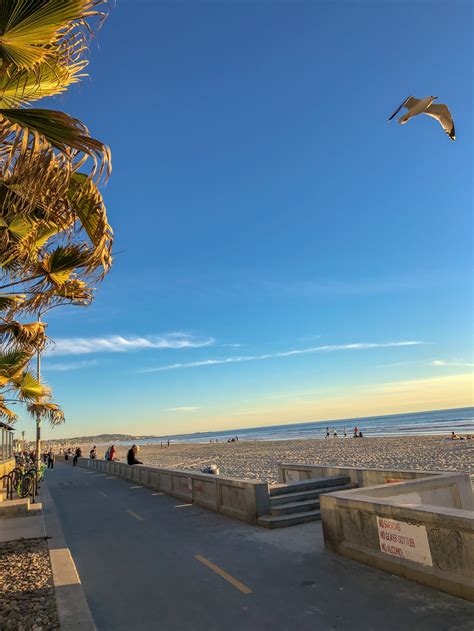Guide To Pacific Beach Beaches In San Diego La Jolla Mom