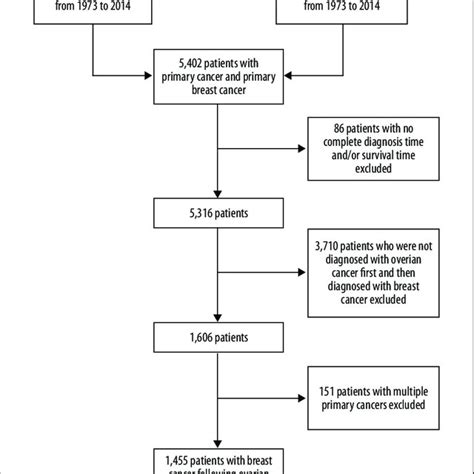 screening flow chart of patients diagnosed with breast cancer following download scientific
