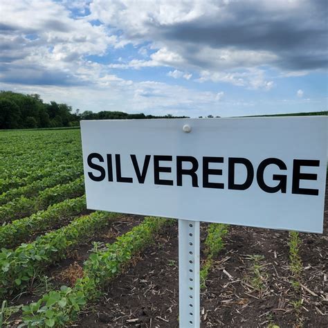 SilverEdge Cooperative | Edgewood IA