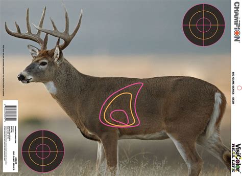 Champion Targets 45828 Visicolor Real Life Targets Deer 12 Targets