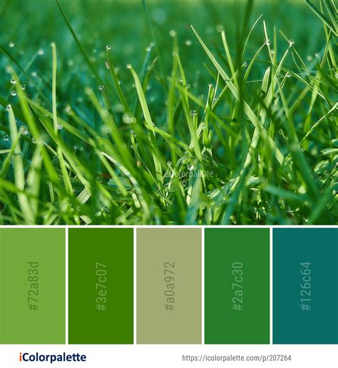 Color Palette Ideas From 3434 Grass Images Icolorpalette Palette