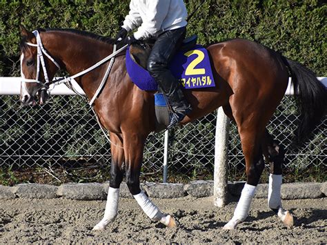 【競馬】 2012 皐月賞 ゴールドシップ 【全部盛り】 スポーツ にこうまの競馬盛り>mylist/16203513にこうまの競馬盛り2011>mylist/25147260にこうまの競馬盛り201. 【皐月賞】アドマイヤハダルは一転、ルメールで皐月賞へ参戦 ...