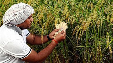 Kerala Farmers Welfare Fund Board Become A Reality The Hindu Businessline