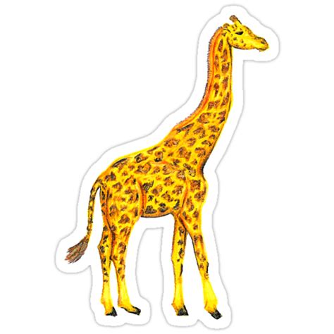 Giraffe Stickers By Lisa Smith Redbubble
