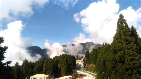 Trees And Trains Of Alishan National Scenic Area In Taiwan