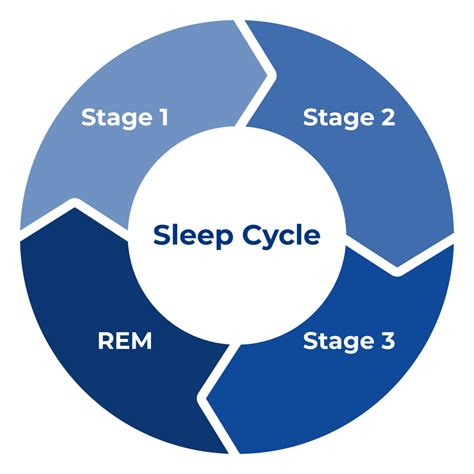 stages of sleep how sleep cycles works sleep standards